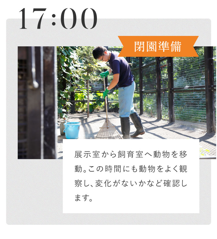 17:00 閉園準備 展示室から飼育室へ動物を移動。この時間にも動物をよく観察し、変化がないかなど確認します。