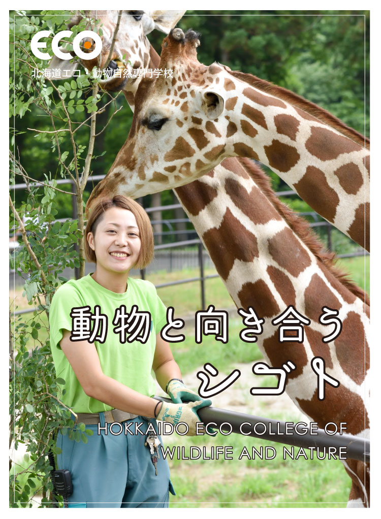 動物と向き合うシゴト