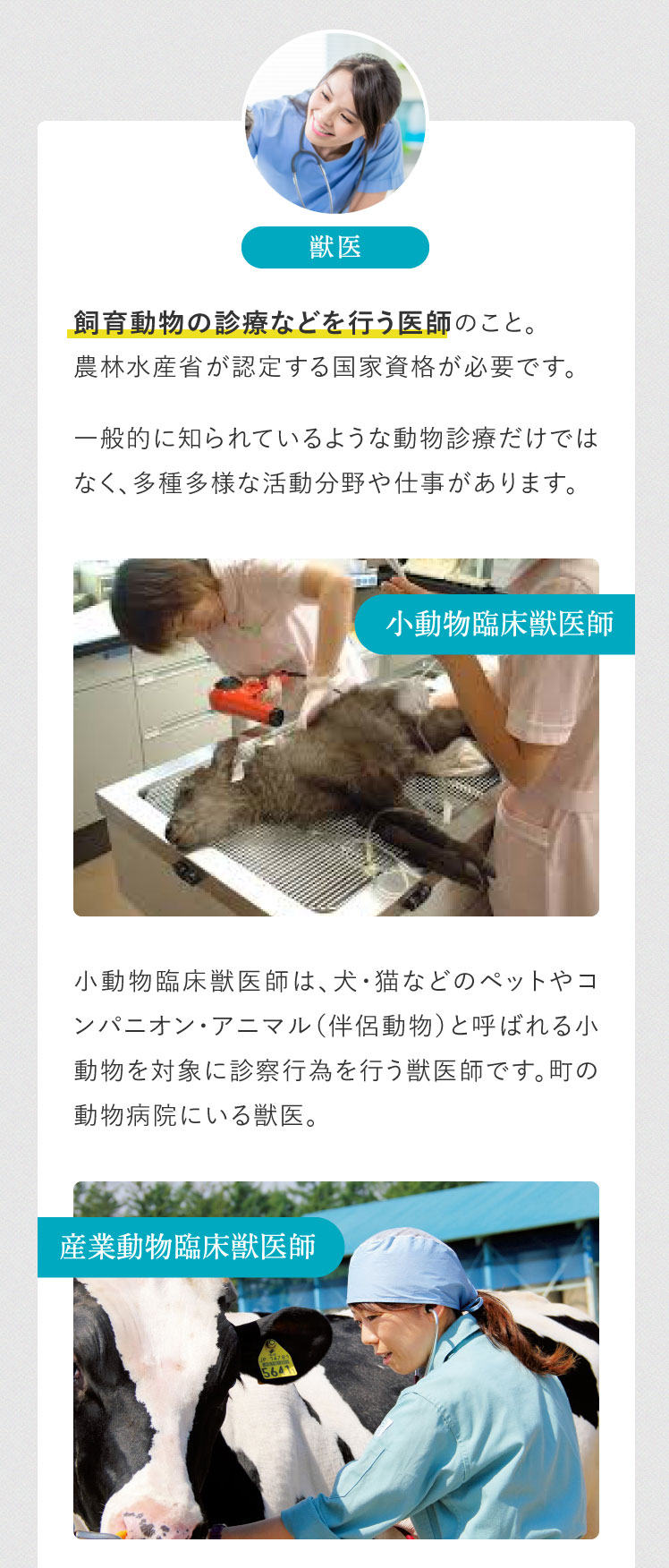 獣医は飼育動物の診療などを行う医師のこと。農林水産省が認定する国家資格が必要です。