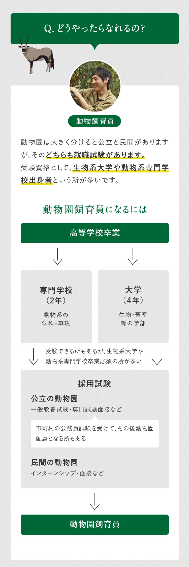 獣医は動物園は大きく分けると公立と民間がありますが、そのどちらも就職試験があります。