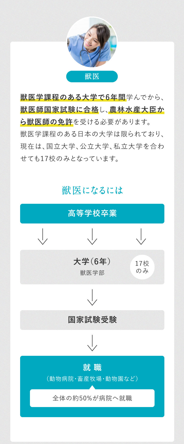 獣医は、獣医学課程のある大学で6年間学んでから、獣医師国家試験に合格し、農林水産大臣から獣医師の免許を受ける必要があります。