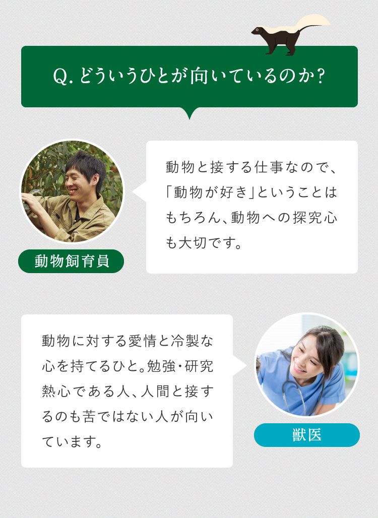 動物と接する仕事なので、「動物が好き」ということはもちろん、動物への探究心も大切です。