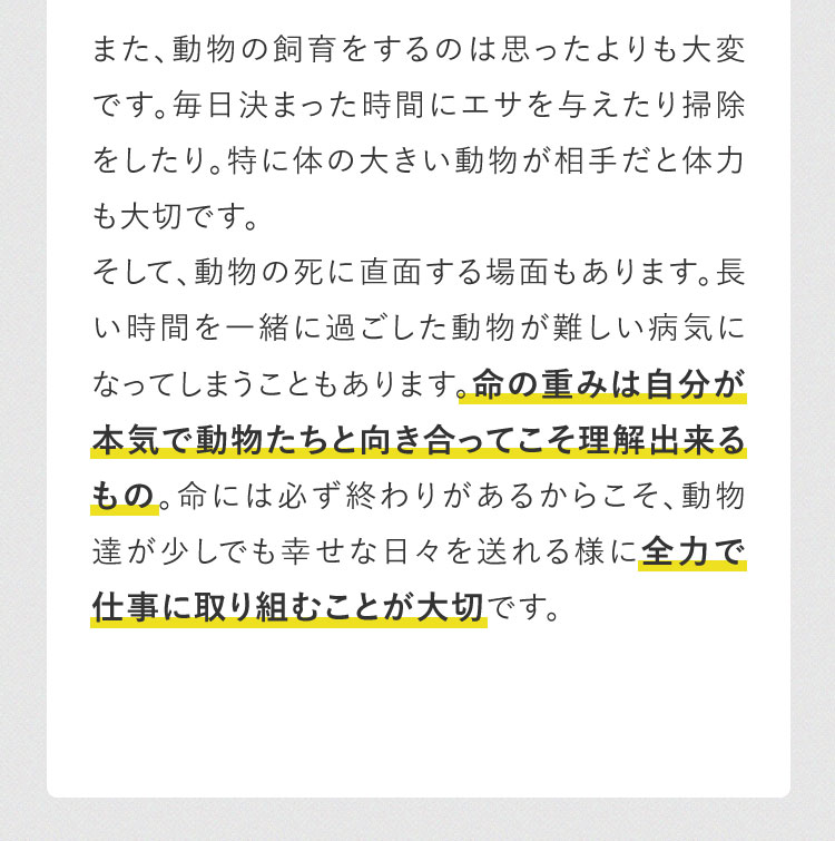 命には必ず終わりがあるからこそ、動物達が少しでも幸せな日々を送れる様に全力で仕事に取り組むことが大切です。