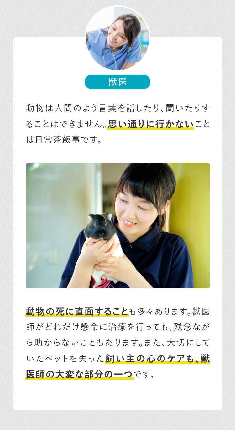 実動物は人間のよう言葉を話したり、聞いたりすることはできません。思い通りに行かないことは日常茶飯事です。