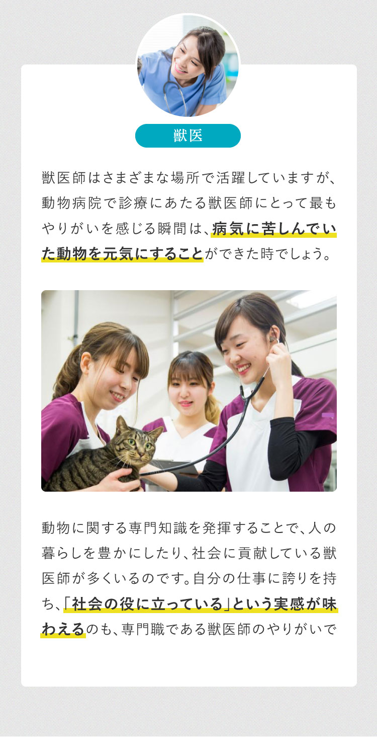 獣医師にとって最もやりがいを感じる瞬間は、病気に苦しんでいた動物を元気にすることができた時でしょう。