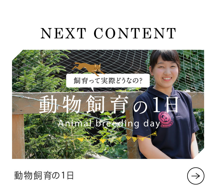 Next Content 飼育員の1日