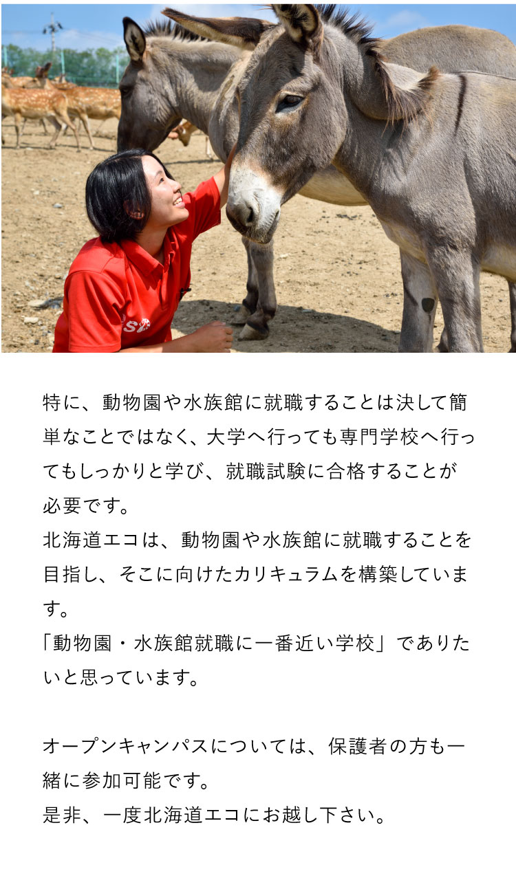 特に、動物園や水族館に就職することは決して簡単なことではなく、大学へ行っても専門学校へ行ってもしっかりと学び、就職試験に合格することが必要です。北海道エコは、動物園や水族館に就職することを目指し、そこに向けたカリキュラムを構築しています。「動物園・水族館就職に一番近い学校」でありたいと思っています。オープンキャンパスについては、保護者の方も一緒に参加可能です。是非、一度北海道エコにお越し下さい。
