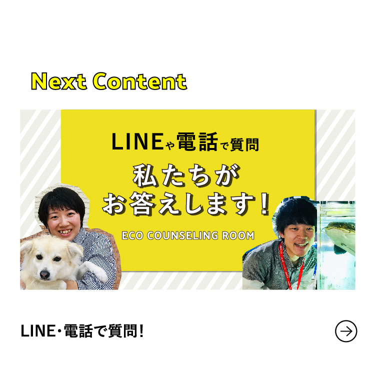 Next Content LINE・電話で質問！